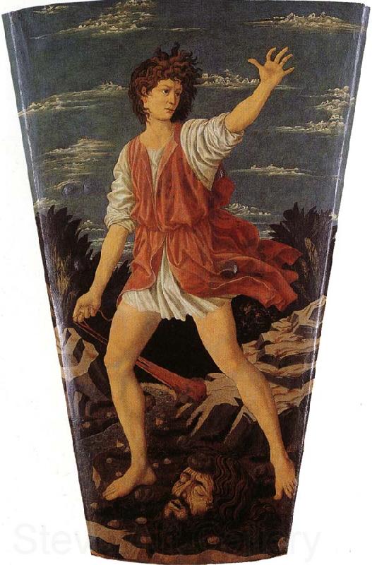 Andrea del Castagno The Youthful David Germany oil painting art
